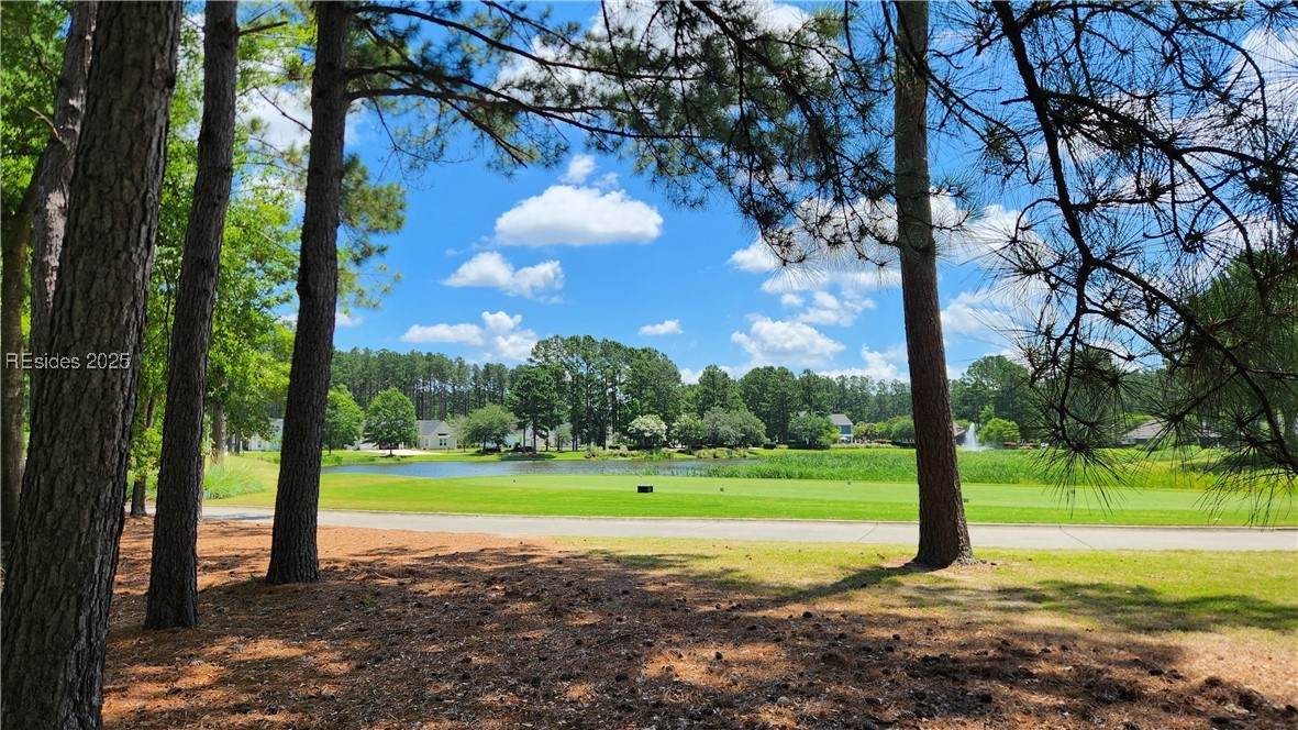 313 Firethorn Lane - Photo 1