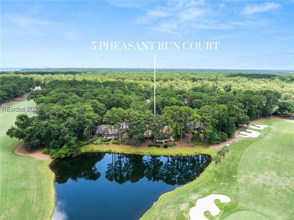 5 Pheasant Run Court - Photo 1