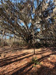 1007 May River Road - Photo 1