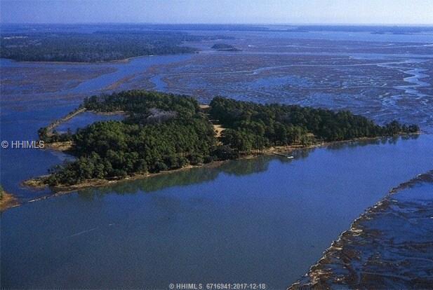 12 Jack Rowe Island Drive - Photo 1