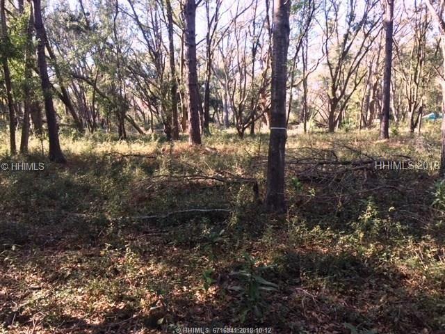161 Dillon Road - Photo 1