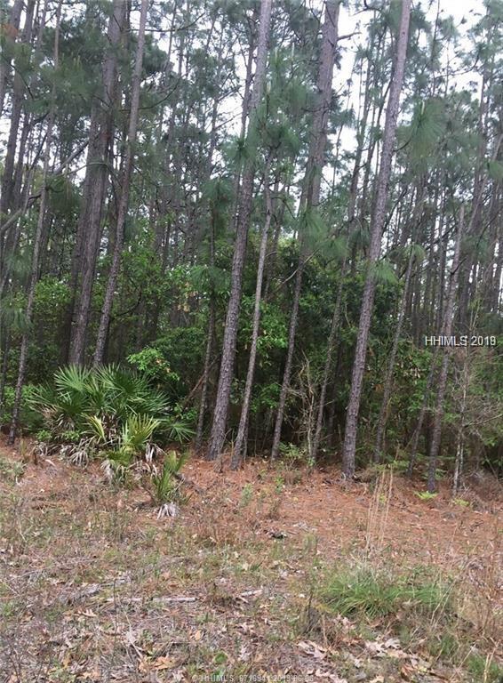 0 Off Hwy 17 - Photo 1