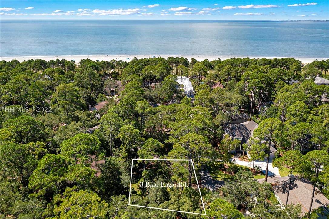 3 Bald Eagle Road - Photo 1