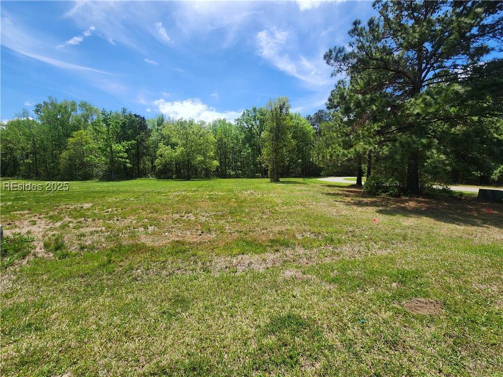 1082 Settings Drive - Photo 1