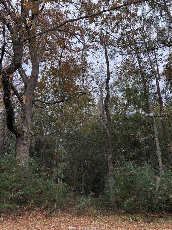 65 Broad River Rd - Photo 1