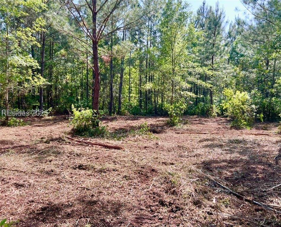 505 Sisters Ferry Road - Photo 1