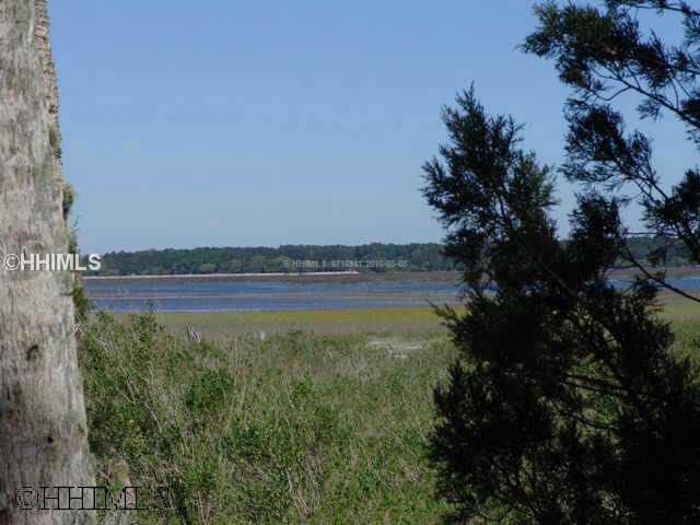 5 Woodstork Watch - Photo 1