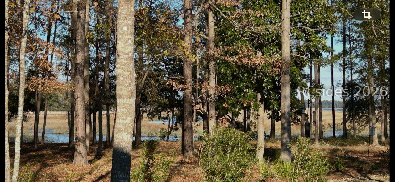 146 Cutter Circle - Photo 1