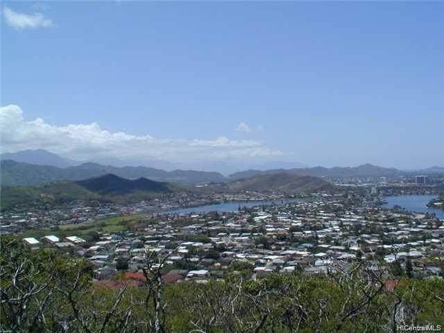 1453 Aunauna Street - Photo 1