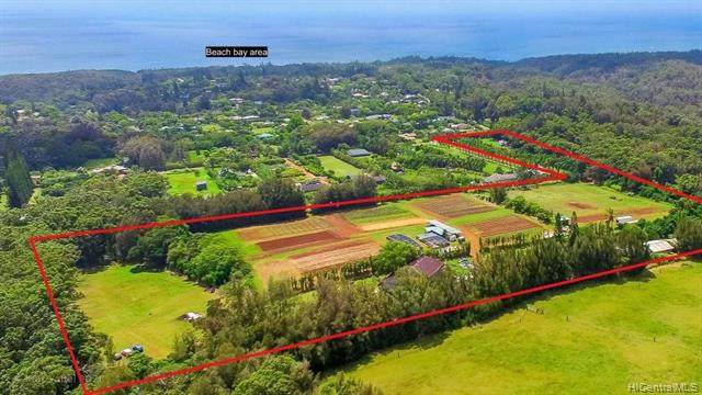 59-705 Pupukea Road - Photo 1