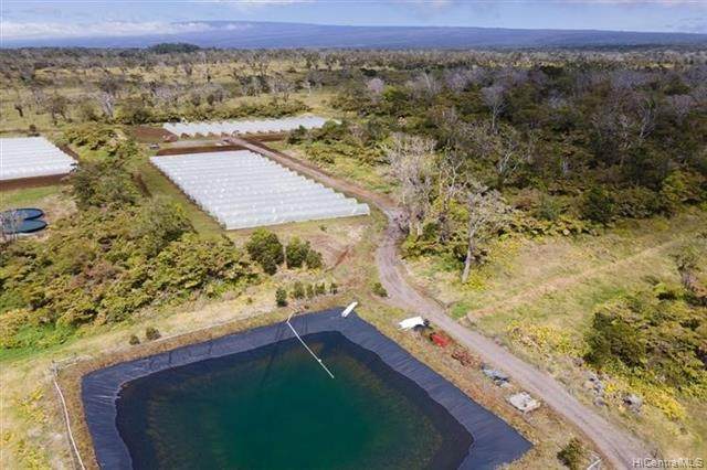 19-4549 Amaumau Road - Photo 1