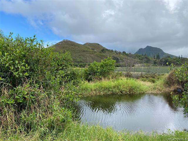 725 Kihapai Place - Photo 1
