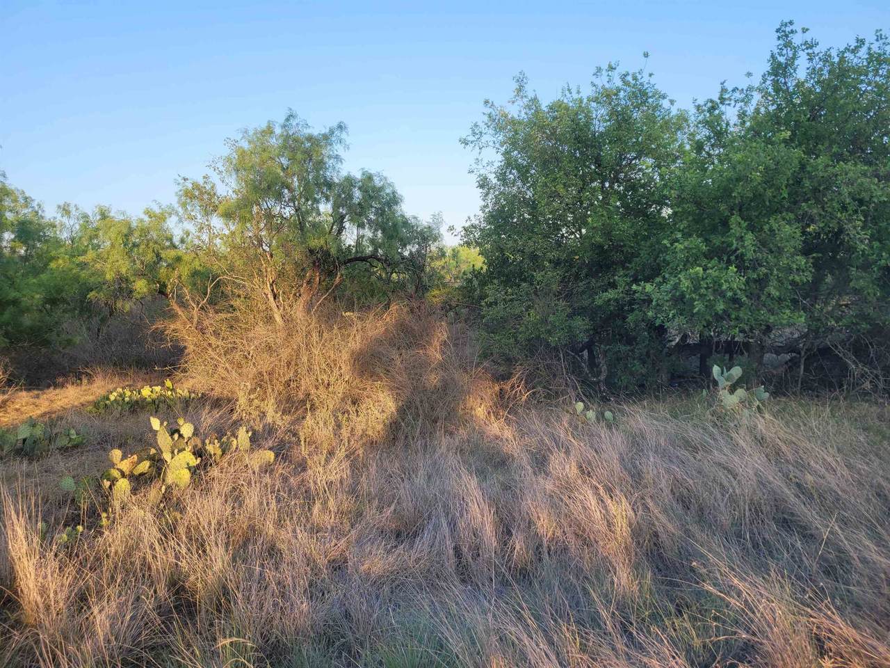 TBD Concho Concho Trail - Photo 1