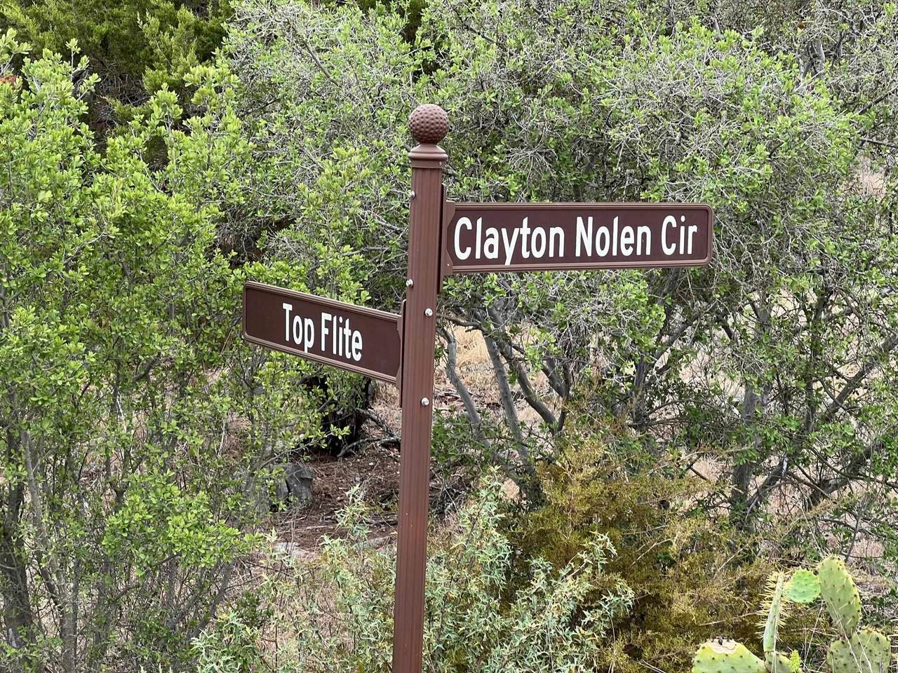13086 Clayton Nolen - Photo 1