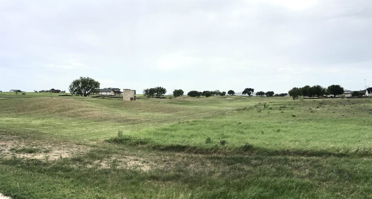 9021 Sandia Loop - Photo 1