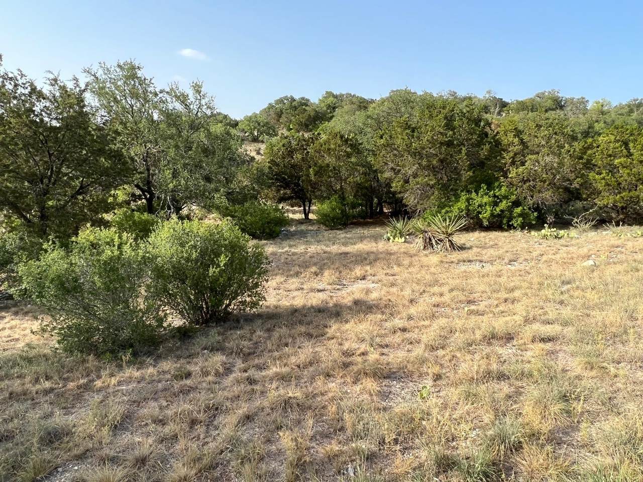 Lot 20185 Quick Draw - Photo 1