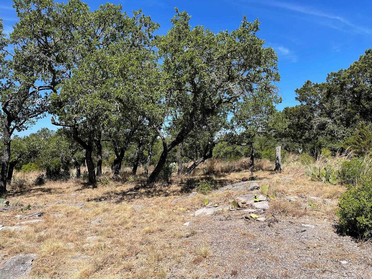 900 Cheyenne - Photo 1