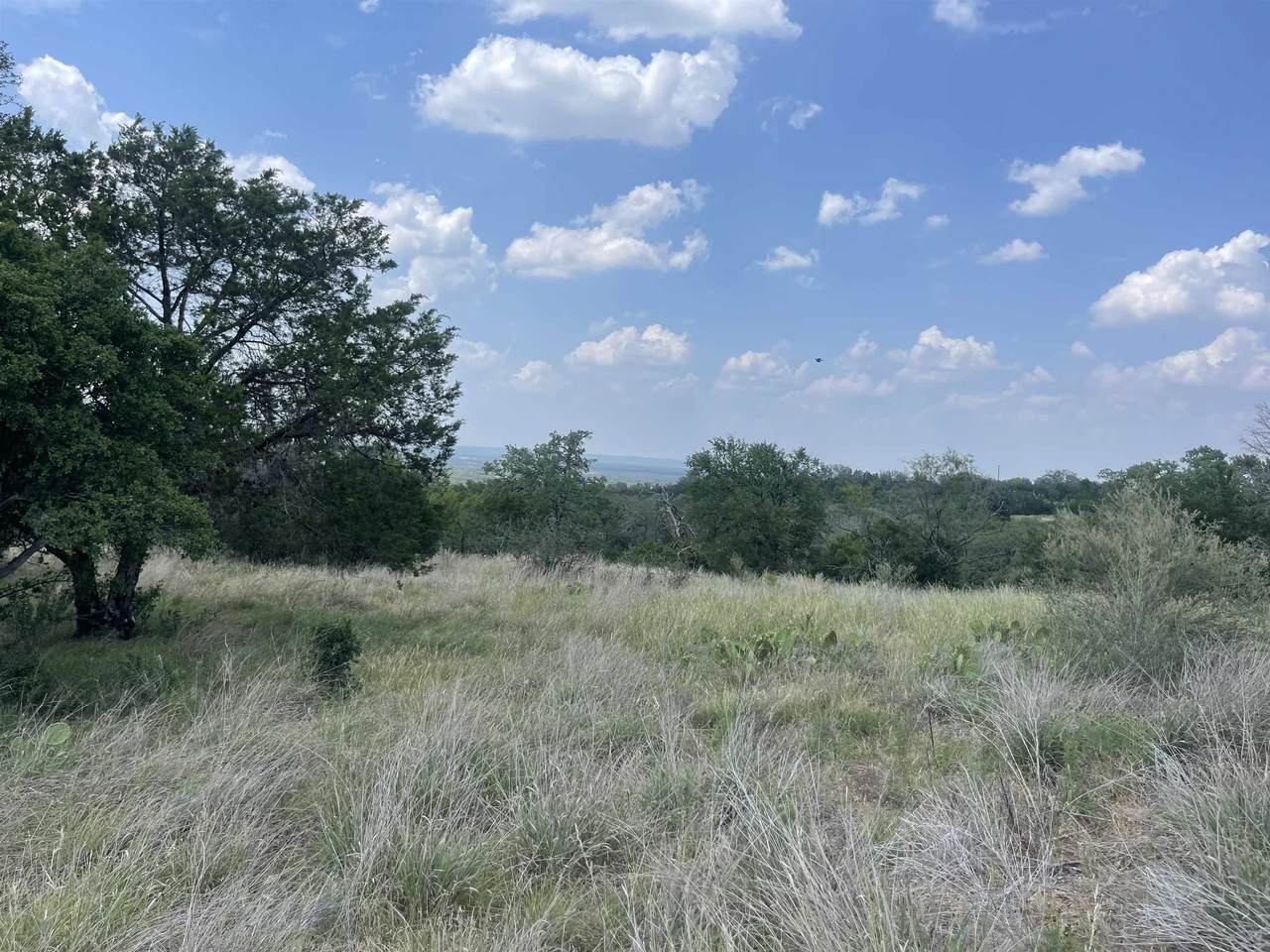 TBD Dew Drop - Photo 1