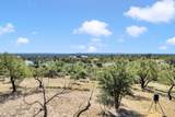 209 Rio Llano Dr. - Photo 26
