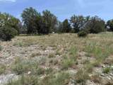 Lot 14068 Hi Mesa Street - Photo 11