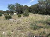 Lot 14068 Hi Mesa Street - Photo 14