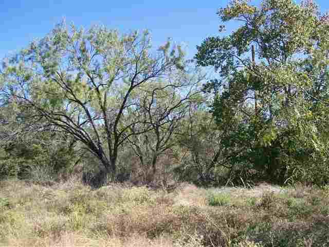 39 Ranch Road 1431 - Photo 1