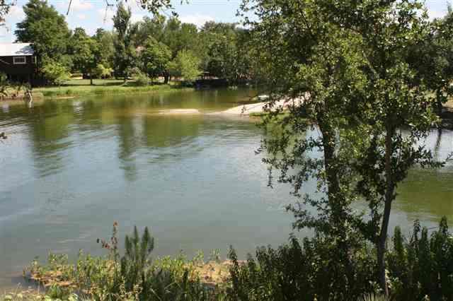239 Moss Downs - Photo 1
