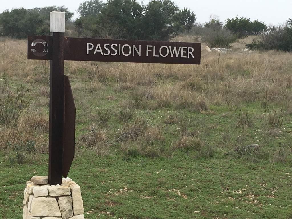 lot 33 Passion Flower - Photo 1