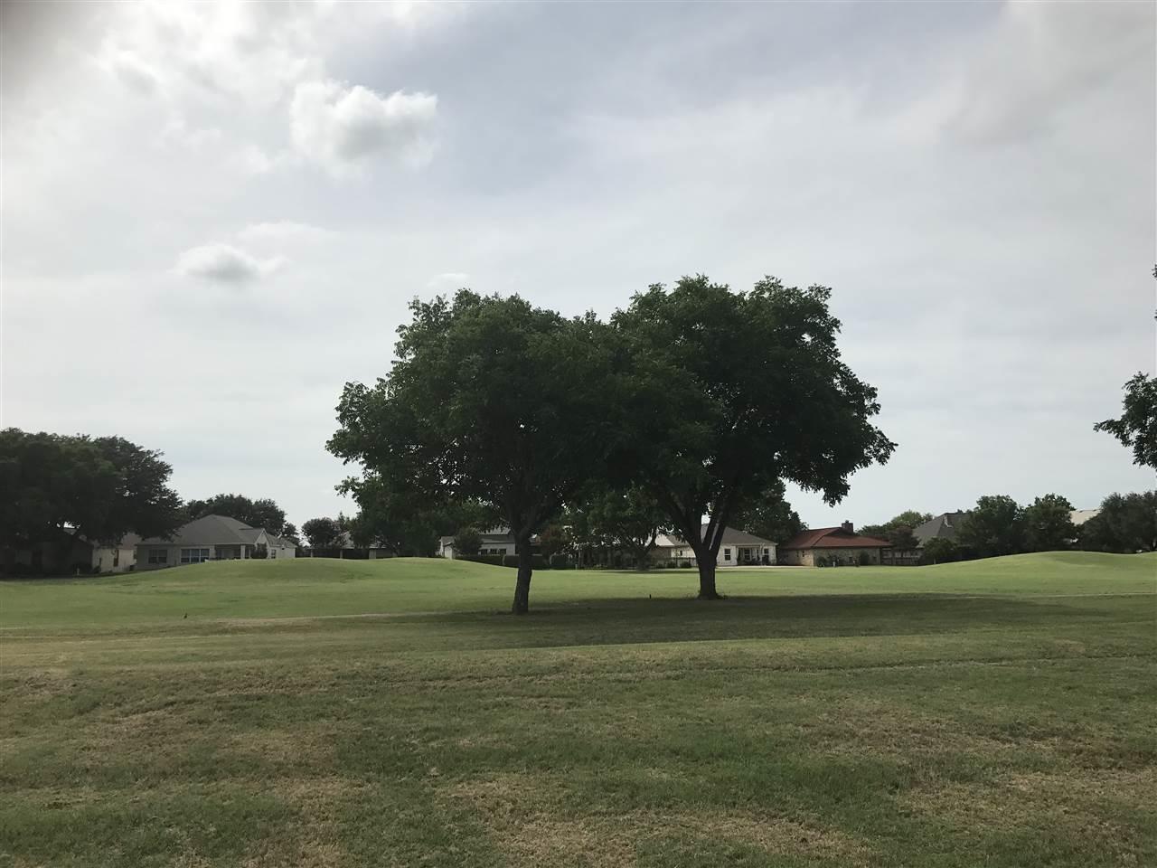 Lot 23 Meadowlakes Drive - Photo 1