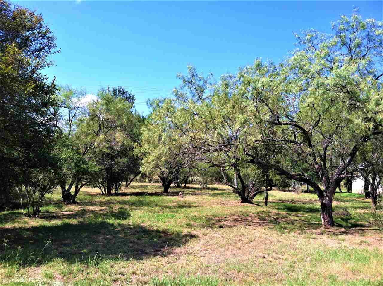 Lt 8017 Hi Circle West - Photo 1