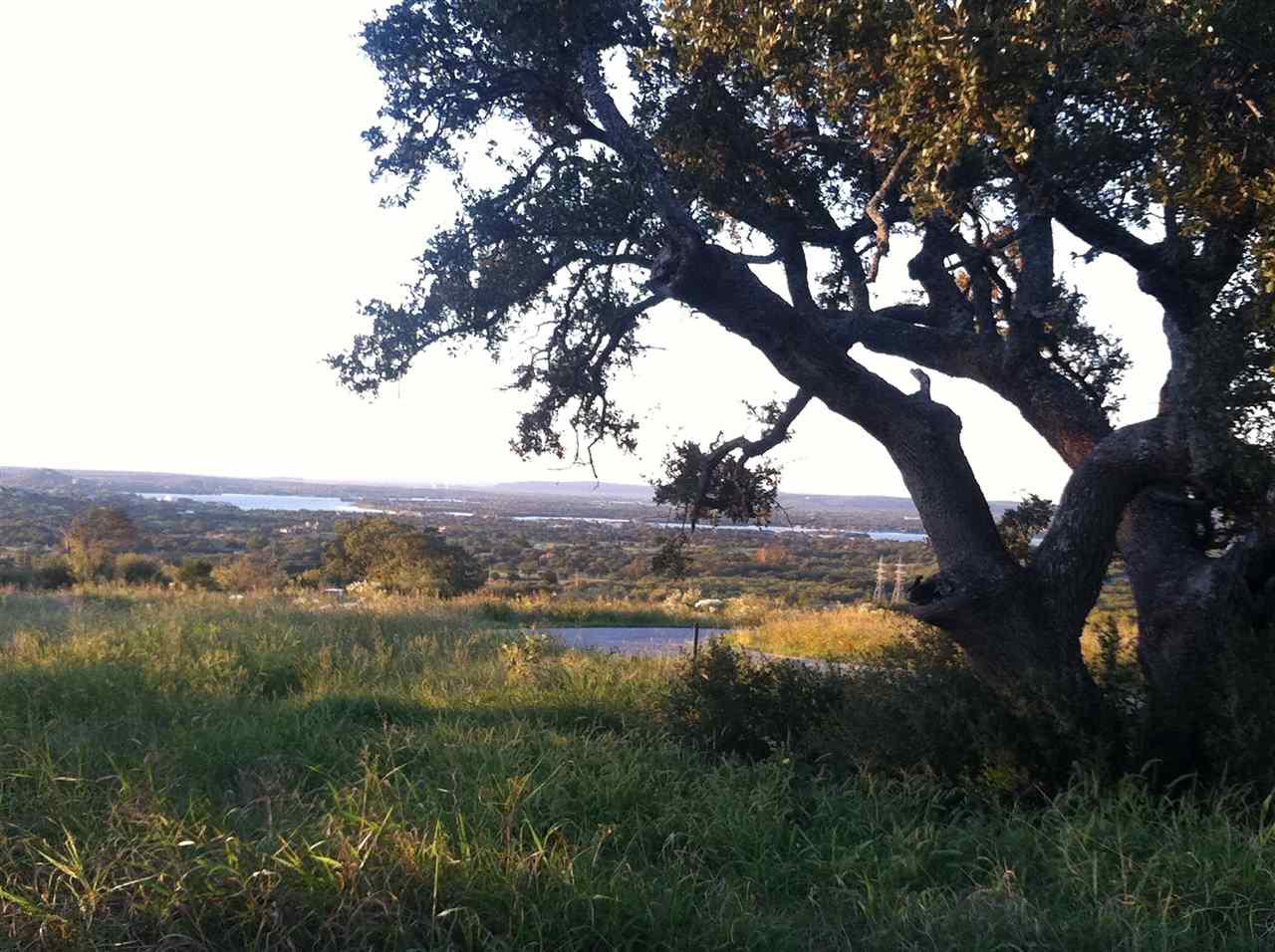 19-A Nightshade - Photo 1