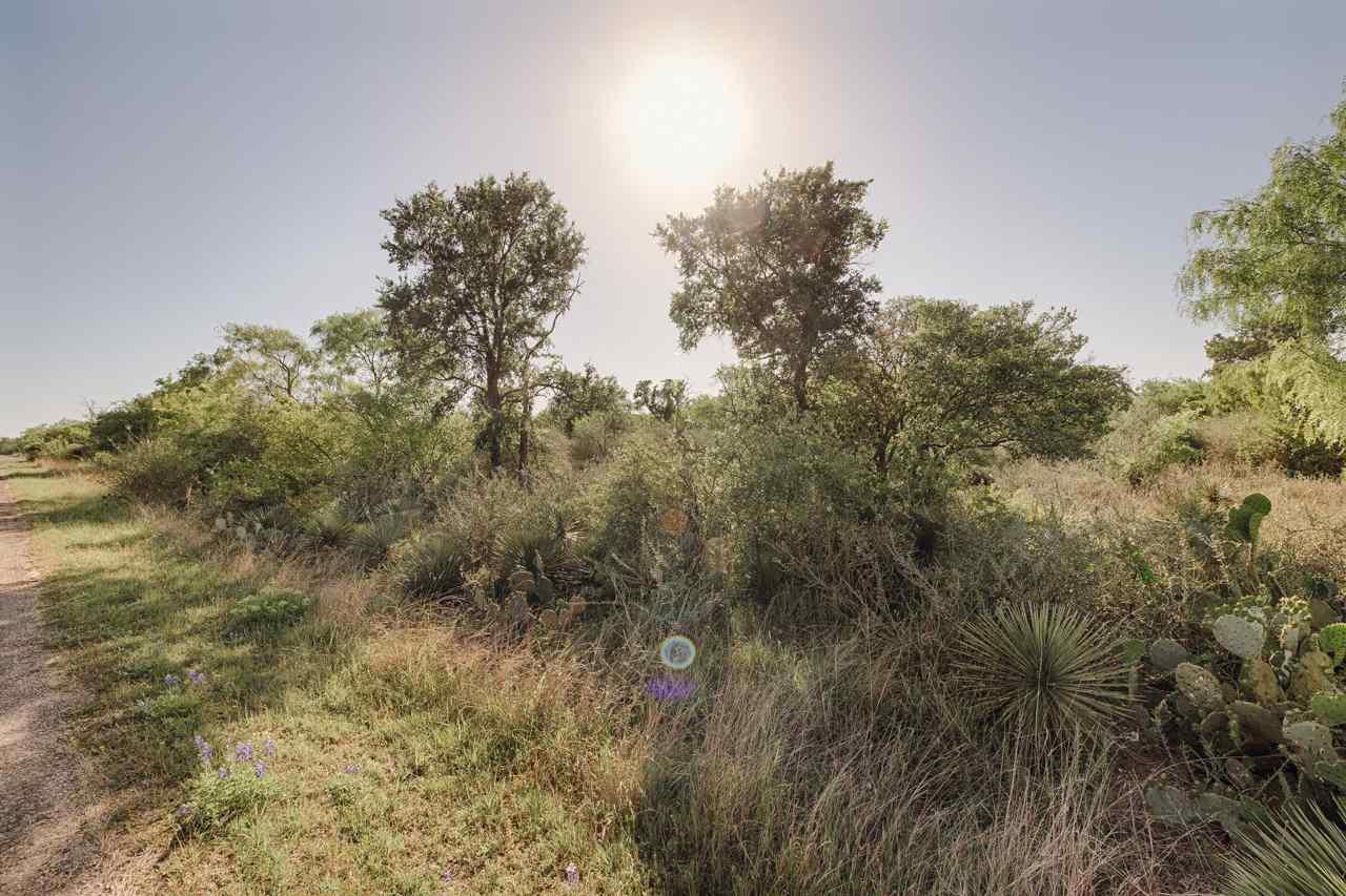 Lot 509 Lake Drive - Photo 1