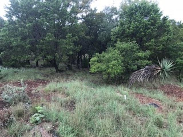 28689 Long Shot - Photo 1