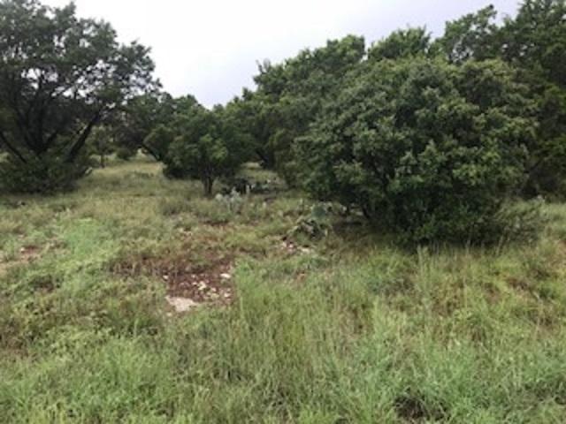 28741 Long Shot - Photo 1