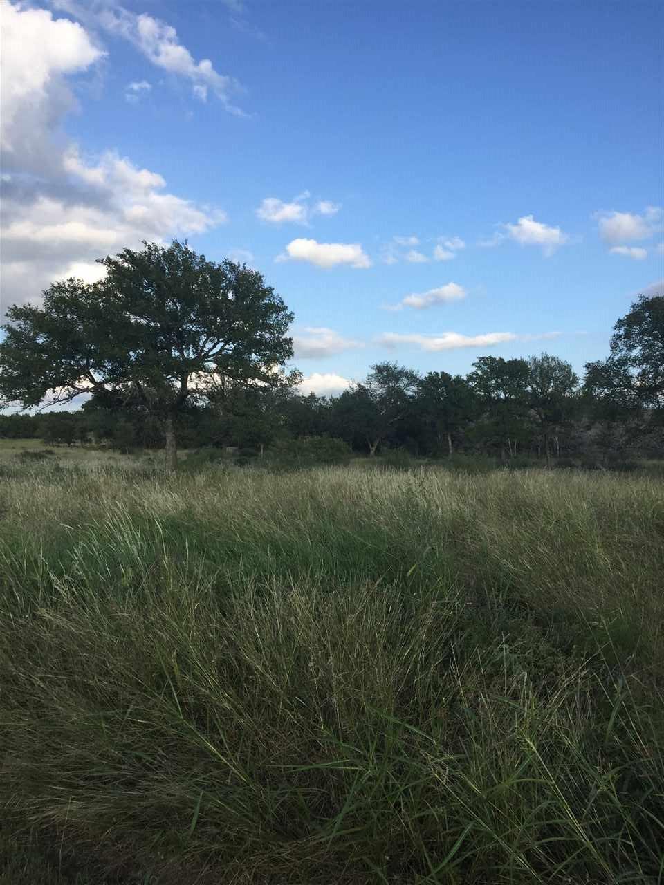 Lot 49 Park View Drive - Photo 1