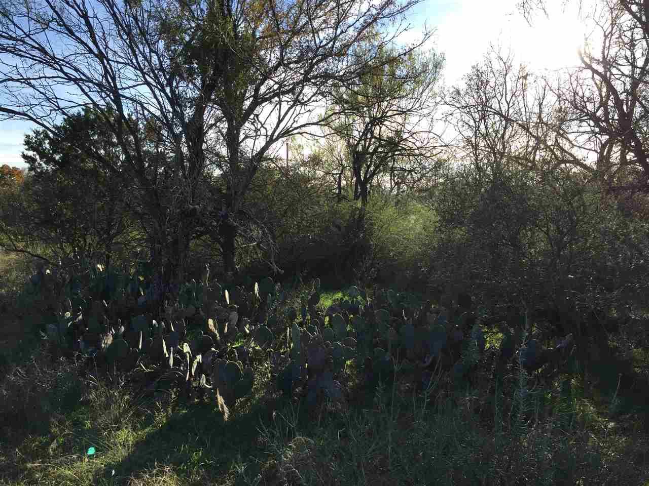 Lots 188-190 Pine Dr - Photo 1