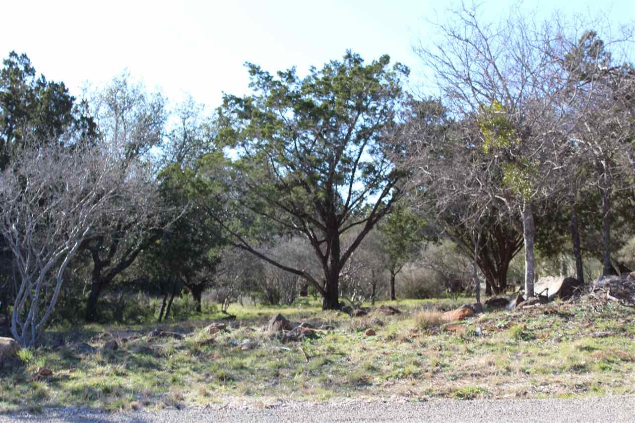 Lot 174 Oak Trail - Photo 1