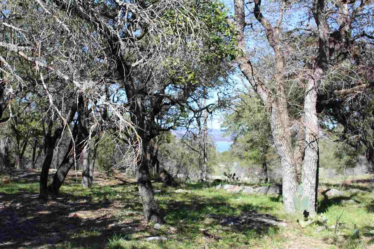 Lot 44013-A Mountain Dew - Photo 1