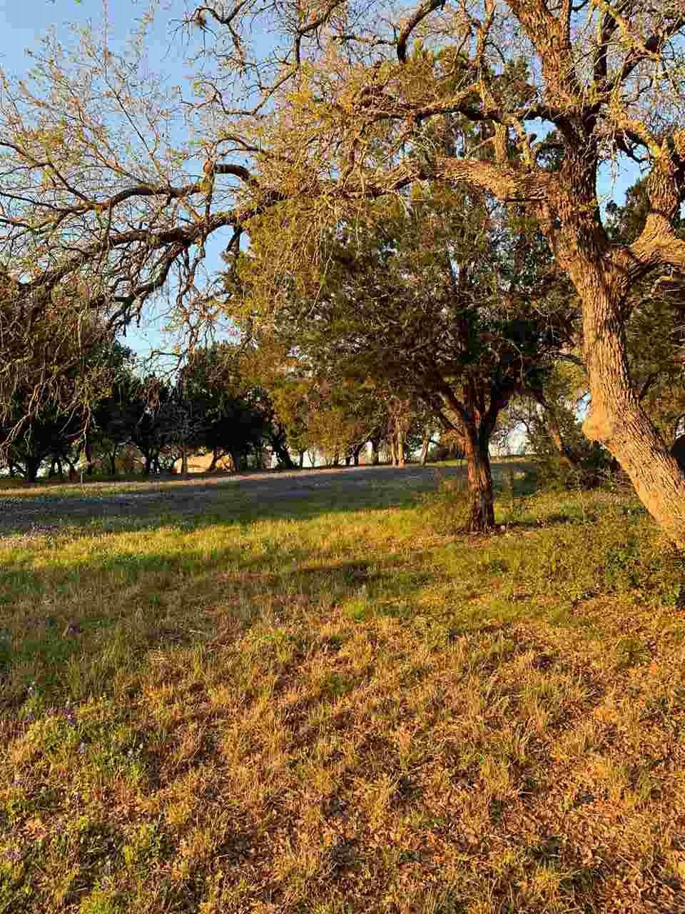 W35091 Lost Nugget - Photo 1