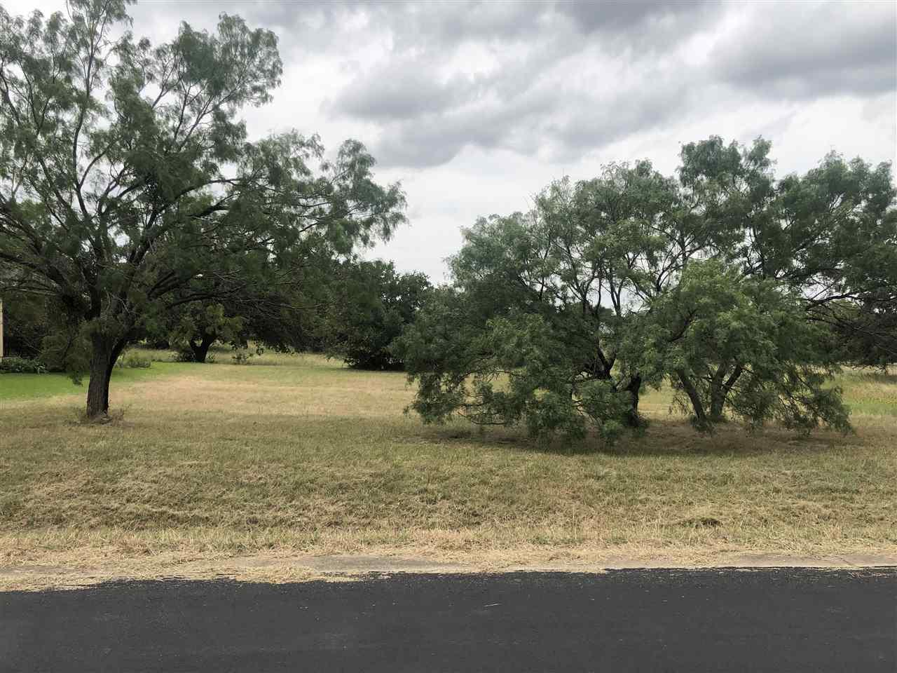 LOT 3036 Douglas Dr - Photo 1