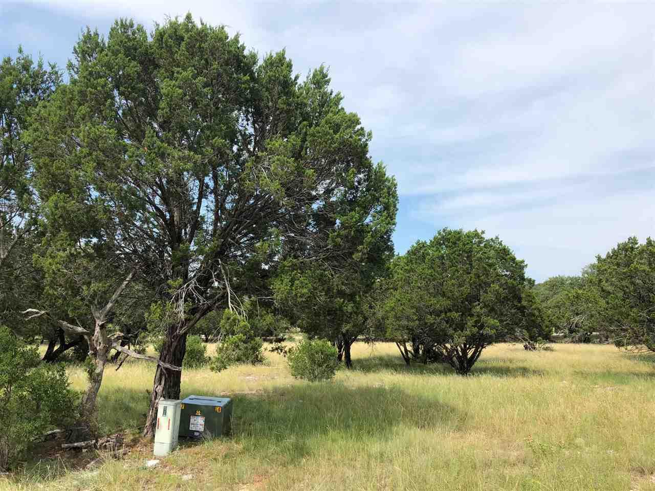 Lot 14137 Purple Sage - Photo 1