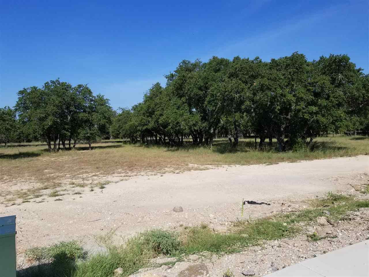 Lot 10 Rachel Loop - Photo 1