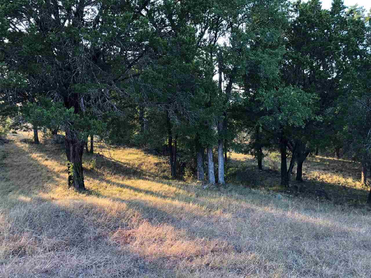 114 Golden Sun - Photo 1