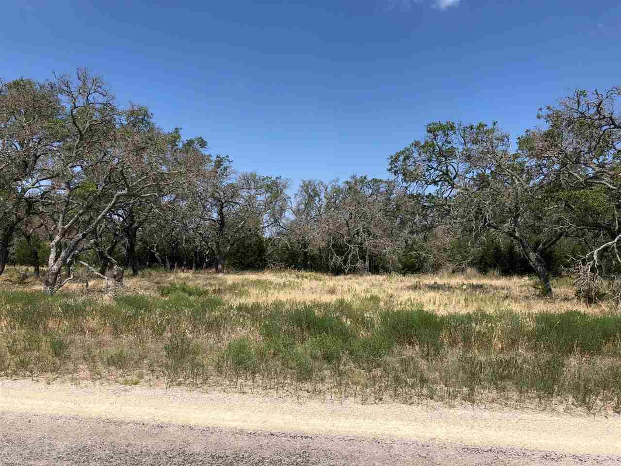 Lot 225 Buffalo Bnd - Photo 1 Lot 225 Buffalo Bnd - Photo 1