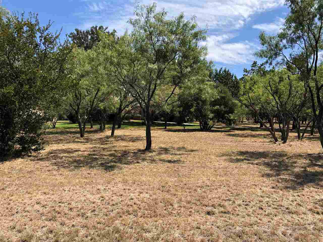 2705 Deep Canyon - Photo 1