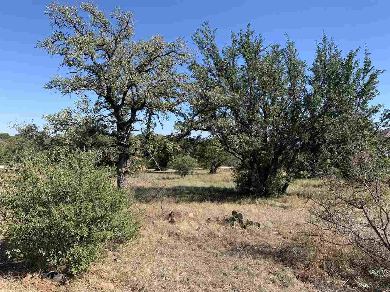 110 Cactus Canyon - Photo 1