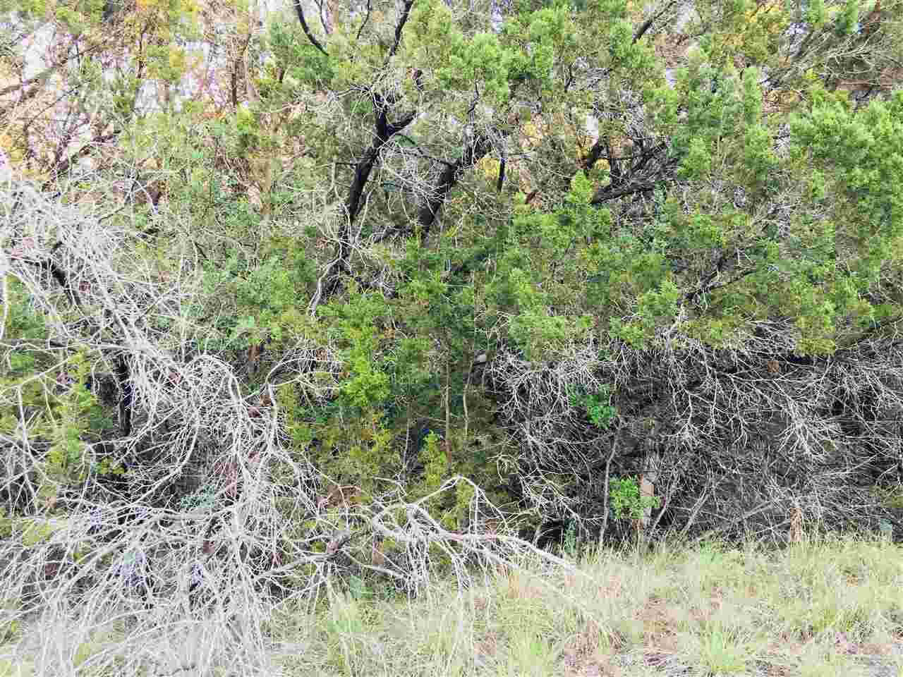 K12053 Stampede Street - Photo 1