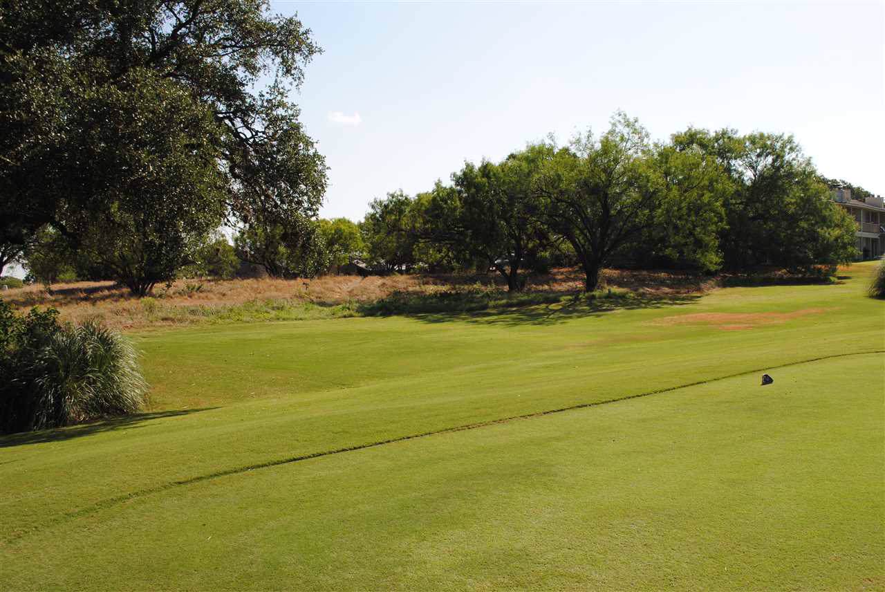 9211 Ranch Road 2147 Lot 23098 - Photo 1