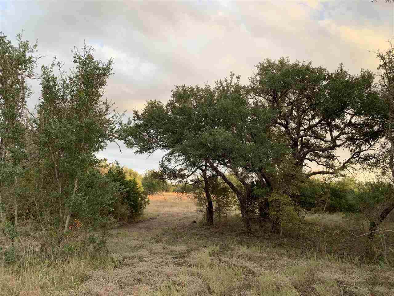 37 Cloudwood Ranch Road - Photo 1
