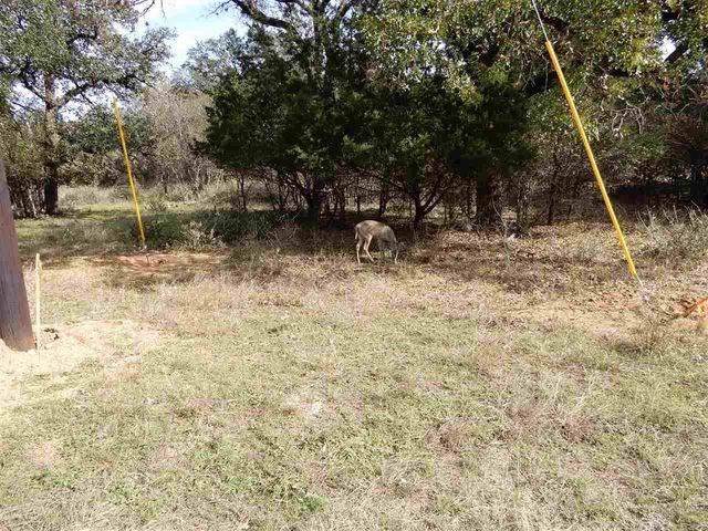Lot 207 Pecan Lane - Photo 1